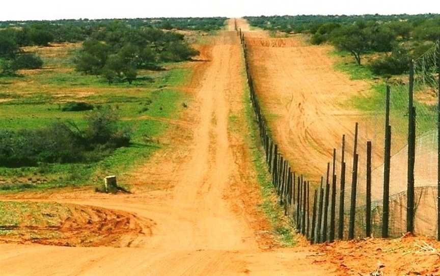 Sturt National Park3 Dingo Fence Camerons Corner