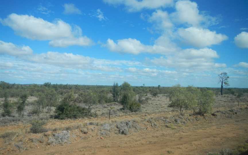 Outback Grazing Land - panoramio.jpg