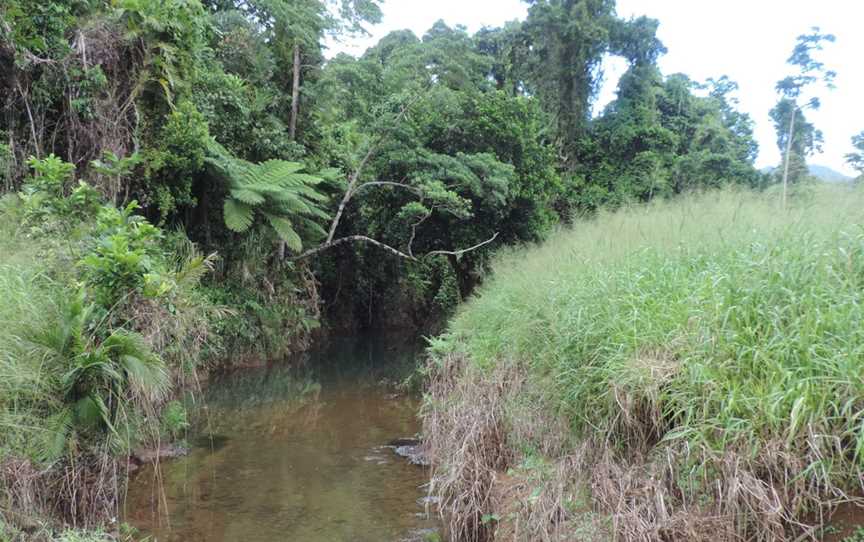 Canal Creek, flowing through Ngatjan to Waugh Pocket, 2018.jpg