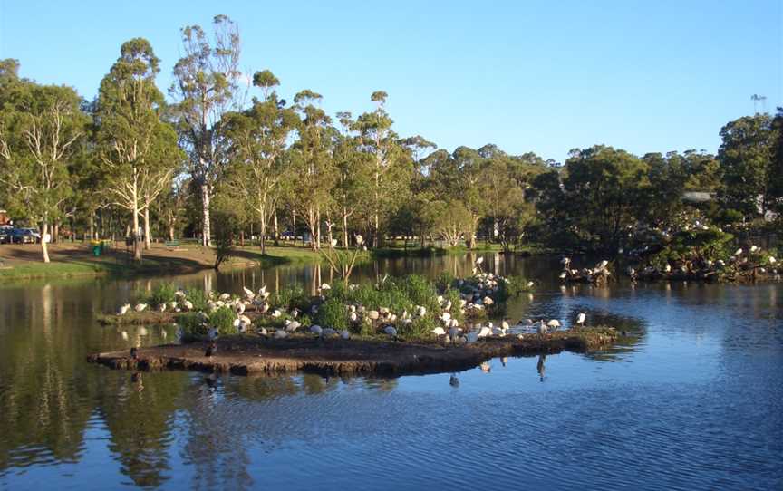 Georges Hall Lake Gillawarna 1.JPG