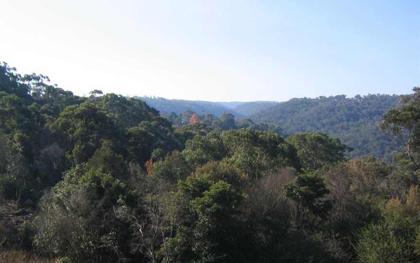 Hornsby Heights view from Rofe Park.jpg