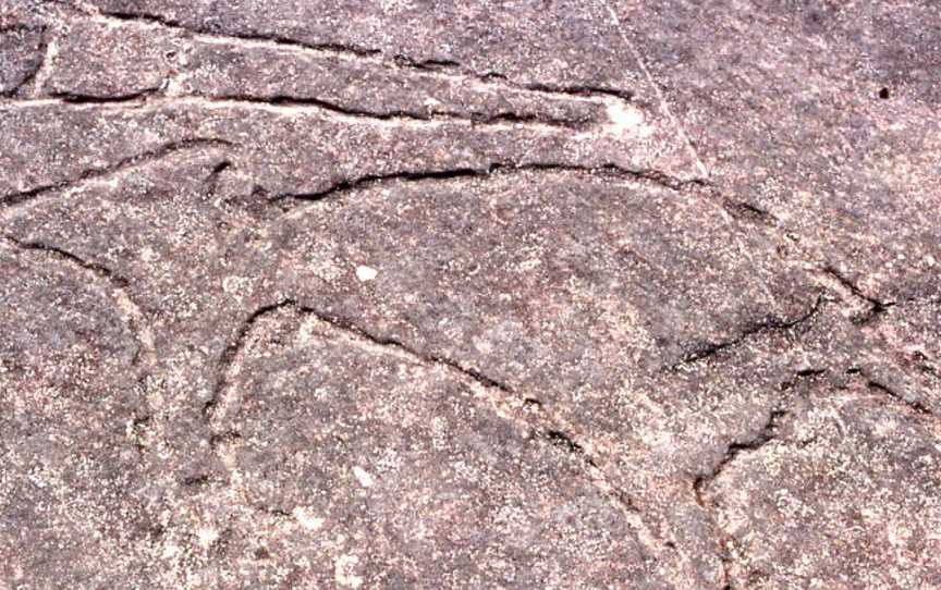 Aboriginalrockcarvings CTerrey Hills CNew South Wales CSydney Wiki0157