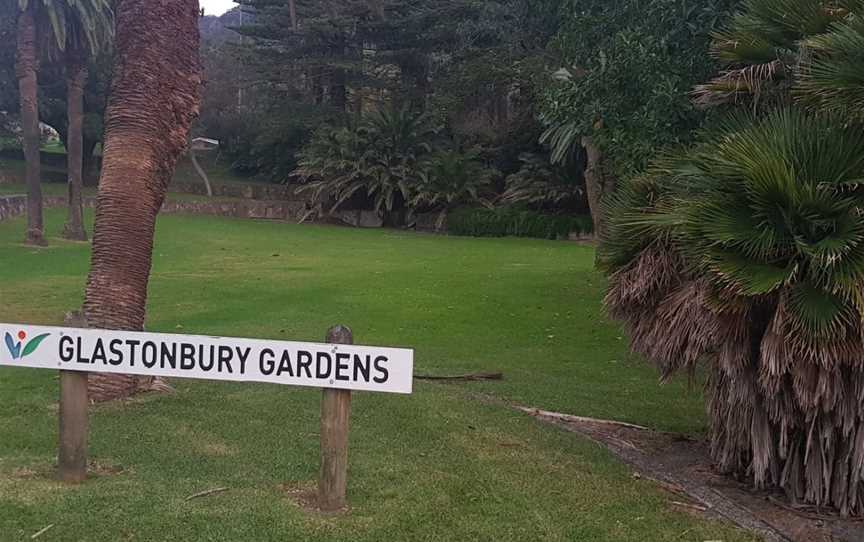 Glastonbury Gardens CAustinmer