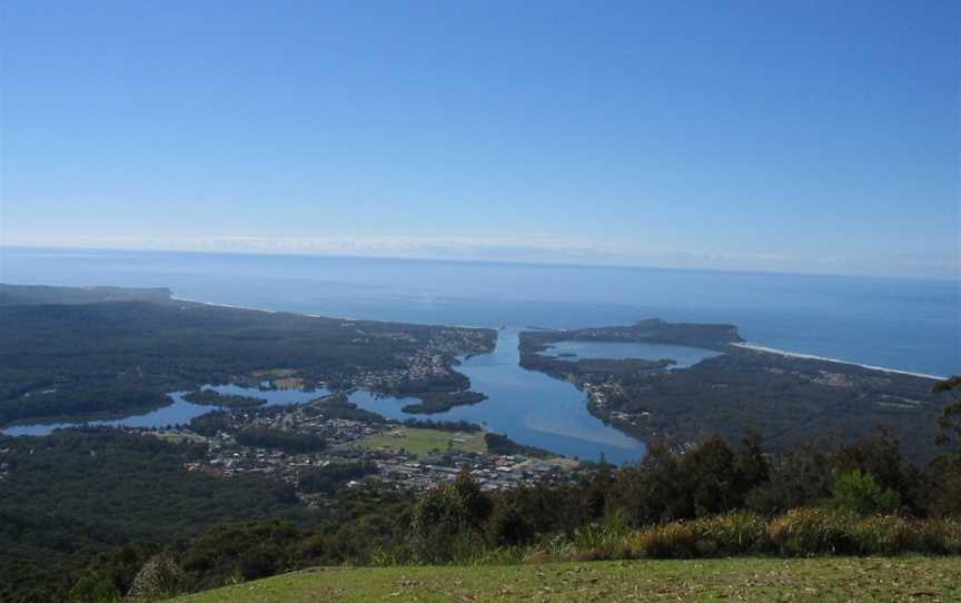 Laurieton, NSW from North Brother Lookout.jpg
