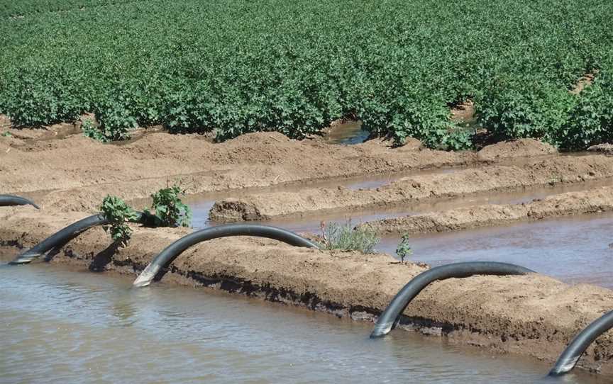 Channel Irrigationofcottoncrops WA RR EN