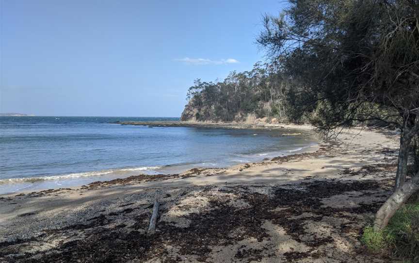 Sunshine Bay, New South Wales. looking south, 2020.jpg