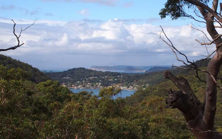 Koolewong Ridge - panoramio (21).jpg