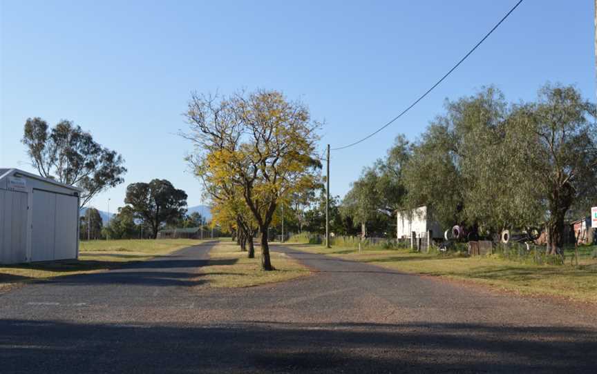 Albert Street, Parkville 001.jpg