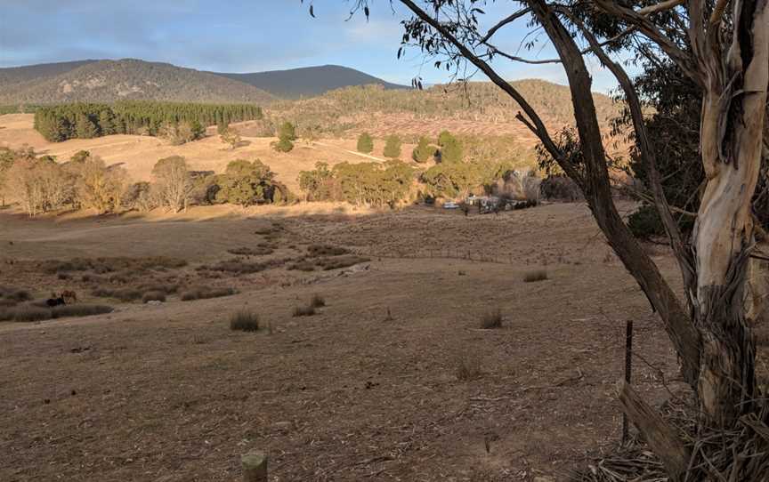 Anembo, New South Wales (May 2018).jpg