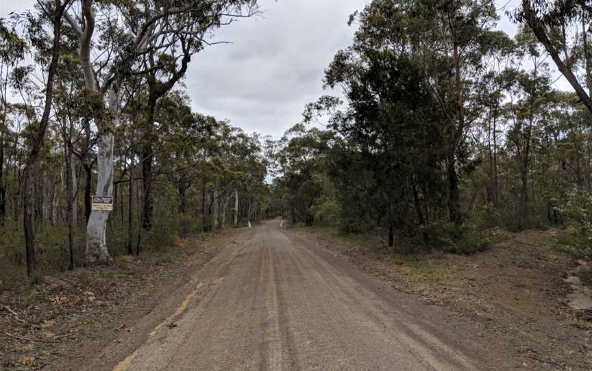 Road in Yerriyong, New South Wales.jpg