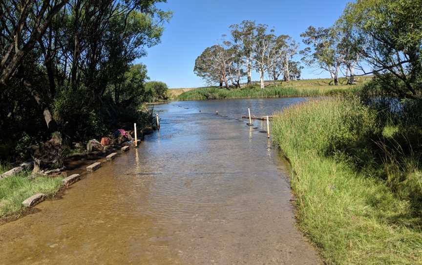 Farringdon Crossing, Farringdon, New South Wales.jpg