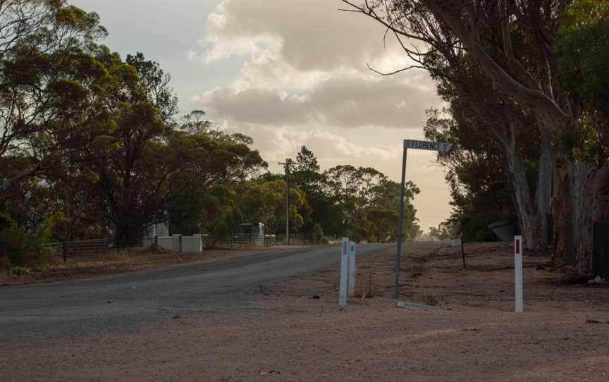 Pinery South Australia.jpg