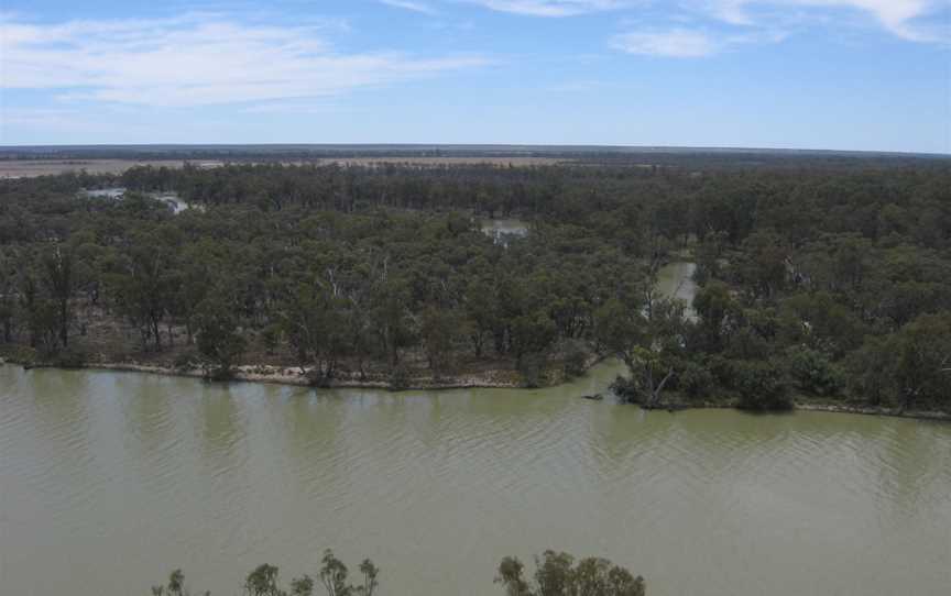 Murray River, overlooking Chowilla floodplain from Headings Cliffs, South Australia.JPG