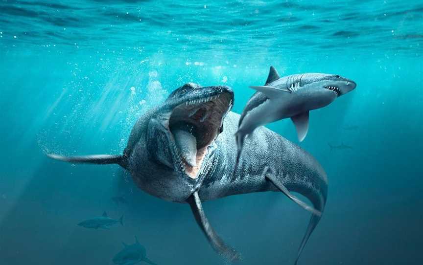 Sea Monsters: Prehistoric Ocean Predators, Events in Fremantle