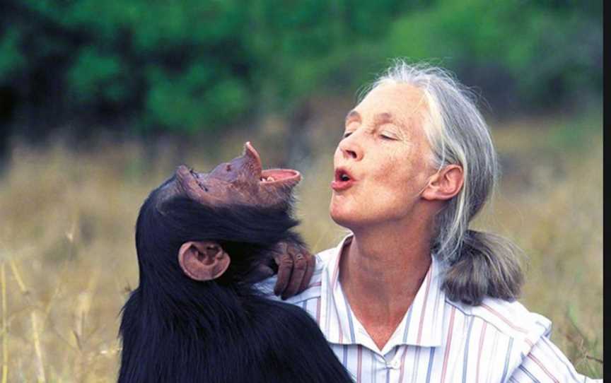 Dr. Jane Goodall - Perth, Events in Bentley