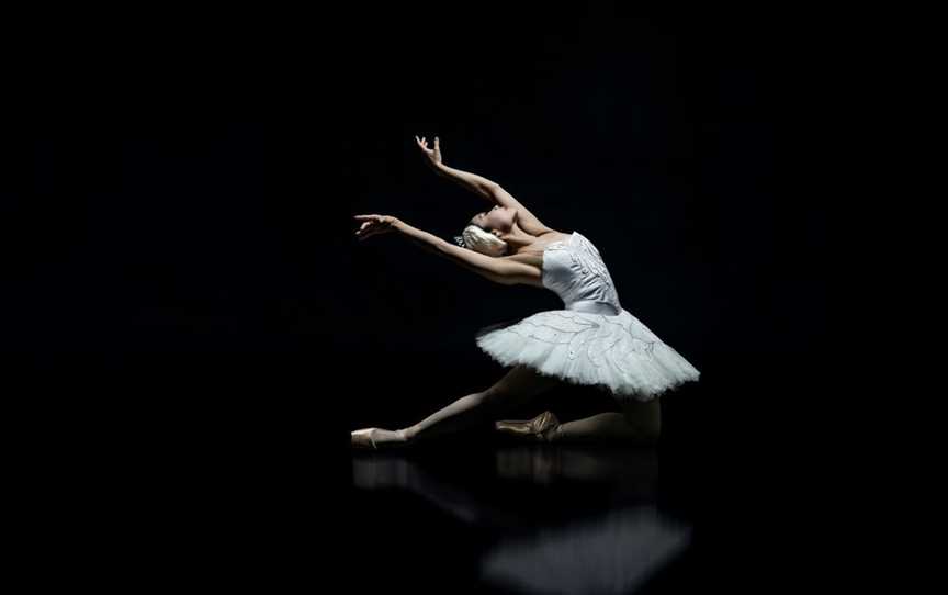 Swan Lake