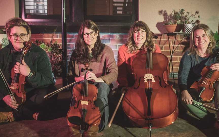 The Stringybark Quartet, Events in Seddon