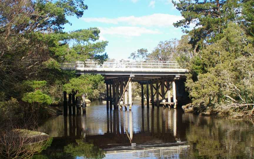 Creatures of the King River Area Discovery Day, Events in King River