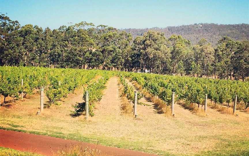 Forest Hill Vineyard, Wineries in Denmark