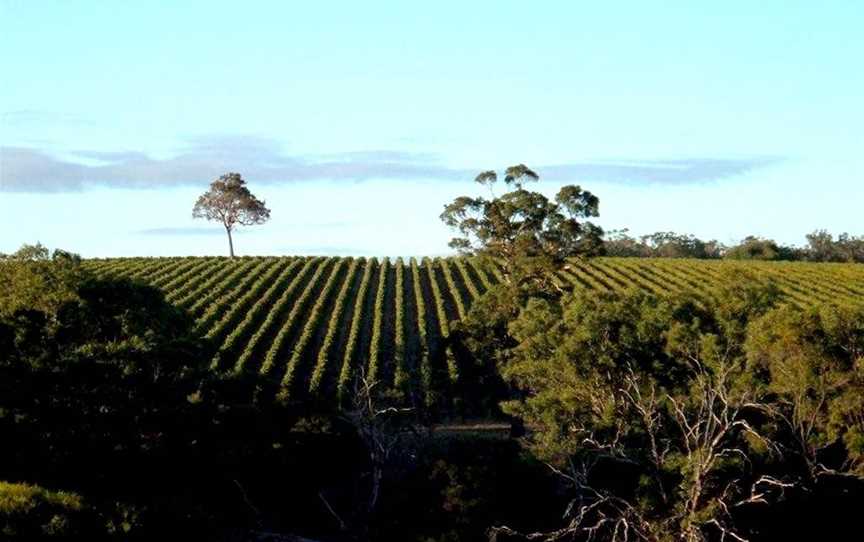 Xabregas Wines, Wineries in Mount Barker-town
