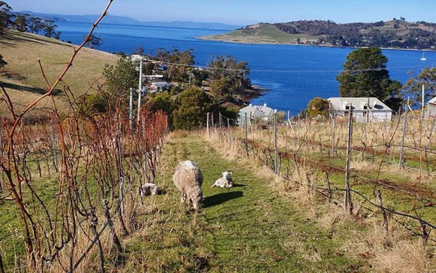 Anim Wine, Blackmans Bay, Tasmania