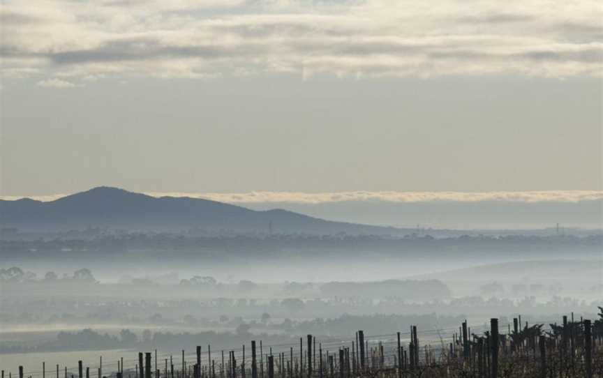 Barwon Ridge Wines, Barrabool, Victoria