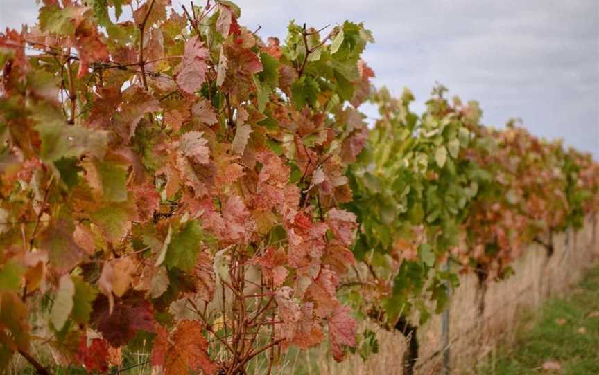 Basalt Wines, Killarney, Victoria