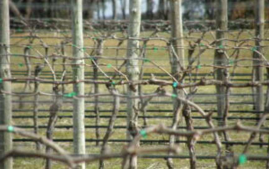 Black Estate Vineyard, Axe Creek, Victoria