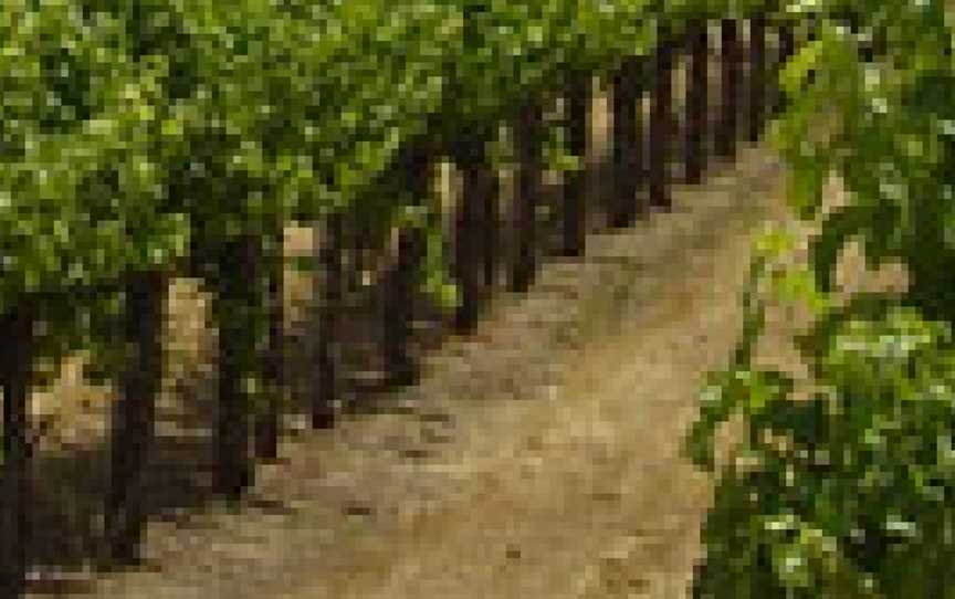 Boneo Winery, Wineries in Rosebud West