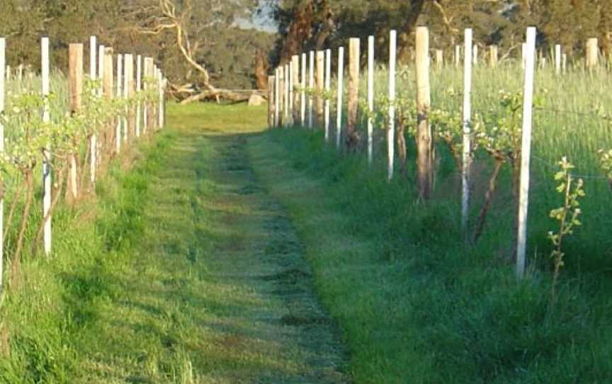Clayfield Wines, Pokolbin, Victoria