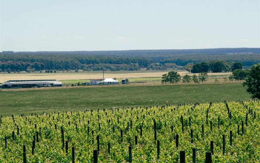 Crawford River Wines, Condah, Victoria