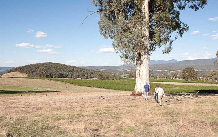 Darling Estate, Whitfield, Victoria