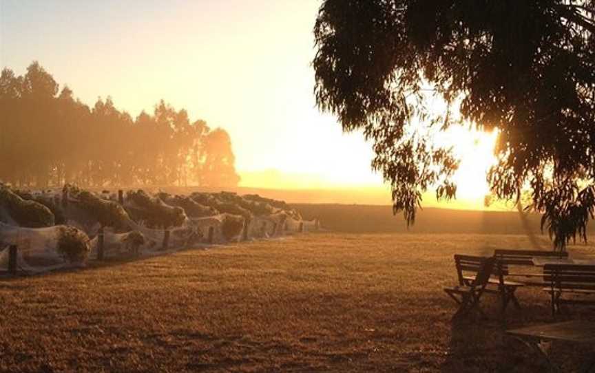 Dinny Goonan, Bambra, Victoria