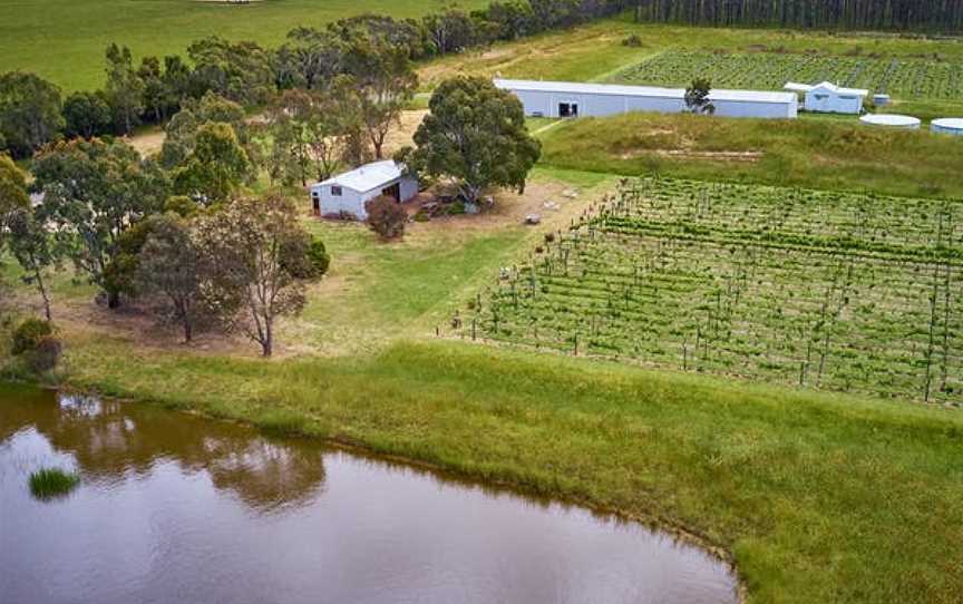 Dinny Goonan, Wineries in Bambra