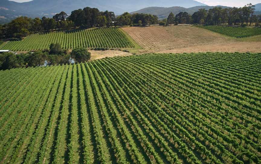 Giant Steps, Healesville, Victoria