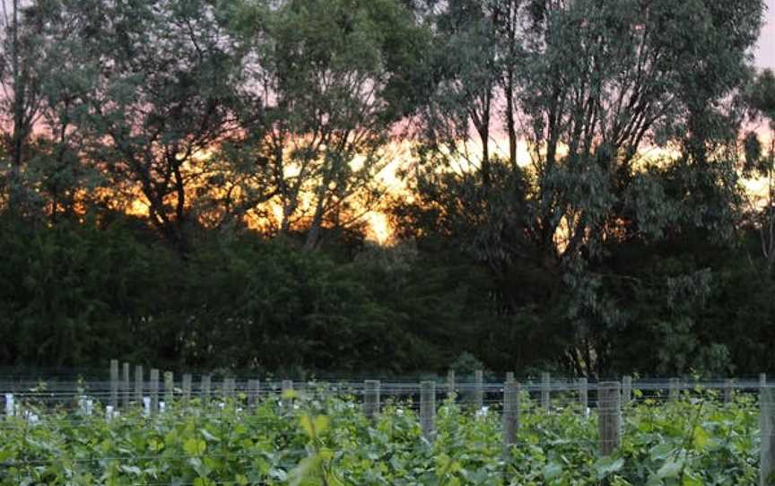 Haldon Estate Wines, Beechworth, Victoria