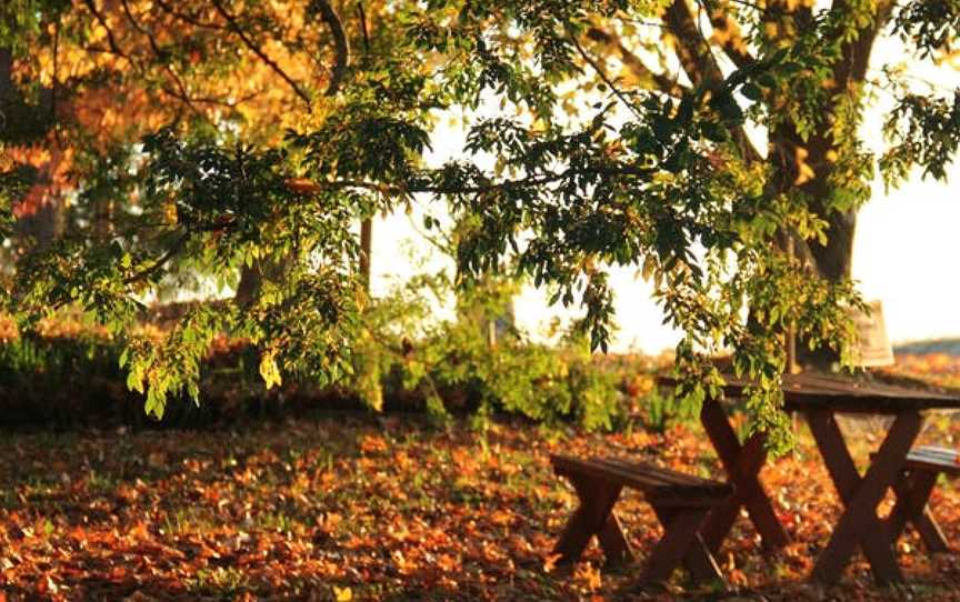 Pfeiffer Wines, Wahgunyah, Victoria