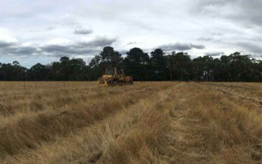 Pondalowie Vineyards, Bambra, Victoria