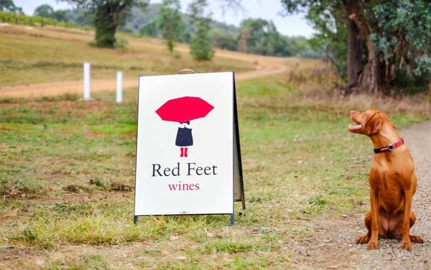 Red Feet Wines, King Valley, Victoria