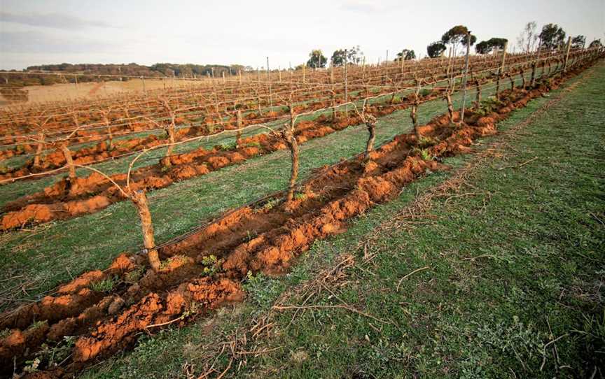 Spence, Murgheboluc, Victoria