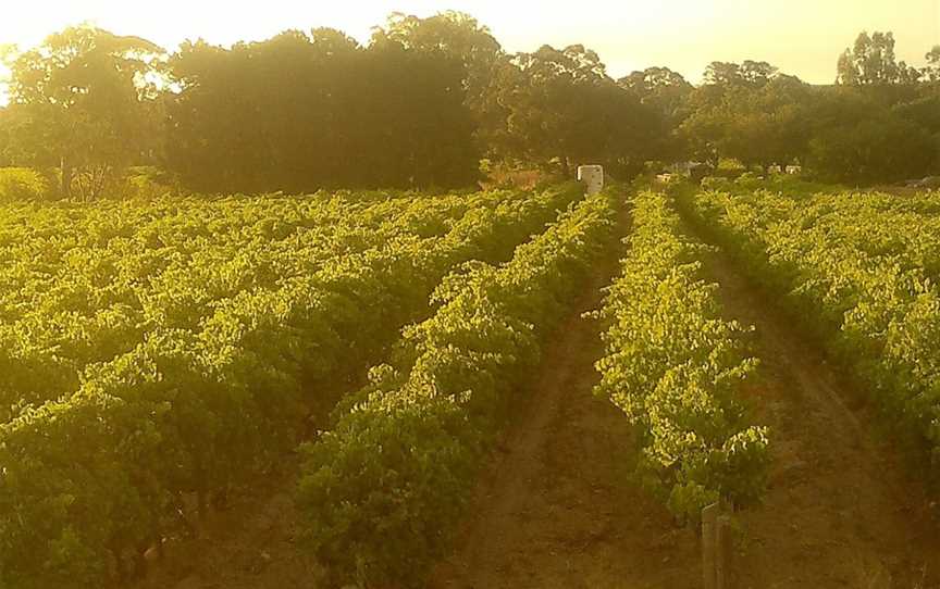 Conte Estate Wines, McLaren Flat, South Australia