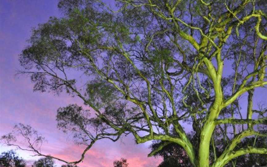 Creed of Barossa, Lyndoch, South Australia