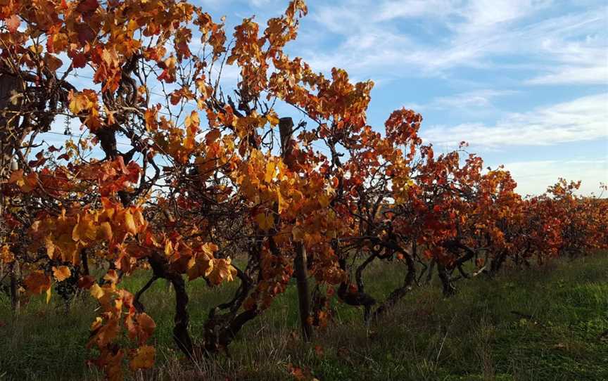 DOWIE DOOLE, McLaren Vale, South Australia