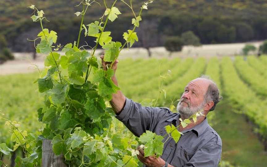 Dudley Wines, Cuttlefish Bay, South Australia