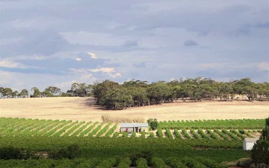 Hayes Family Wines, Stone Well, South Australia