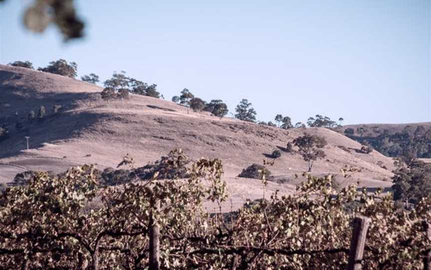 Liebichwein, Rowland Flat, South Australia