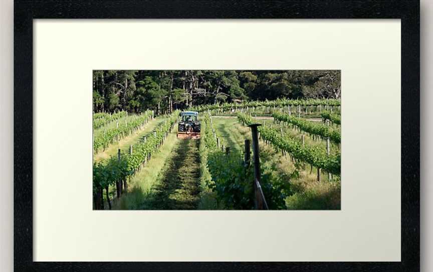 Magpie Springs Winery Cellar Door, Hope Forest, South Australia