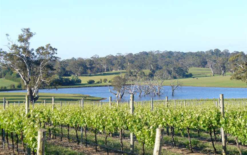 Murdoch Hill, Wineries in Woodside