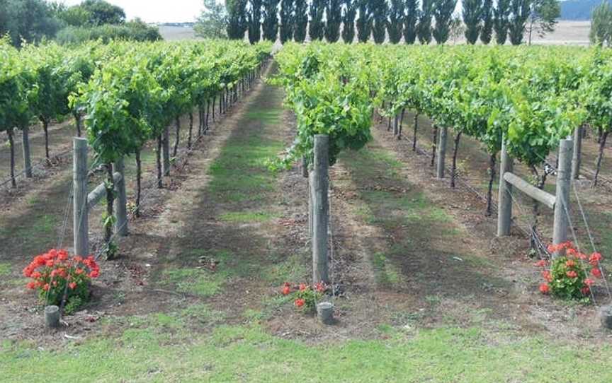 Noski Wines, Moorak, South Australia
