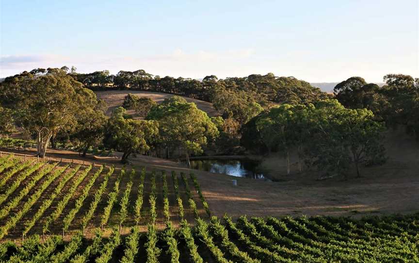 Paracombe Wines, Paracombe, South Australia